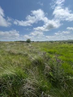 Farm land for sale, Cwmduad SA33