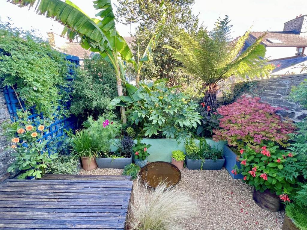 Garden summer