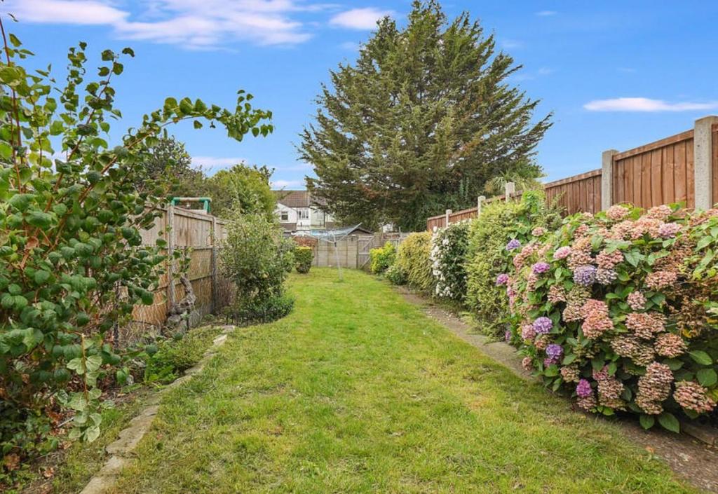 Garden.jpg