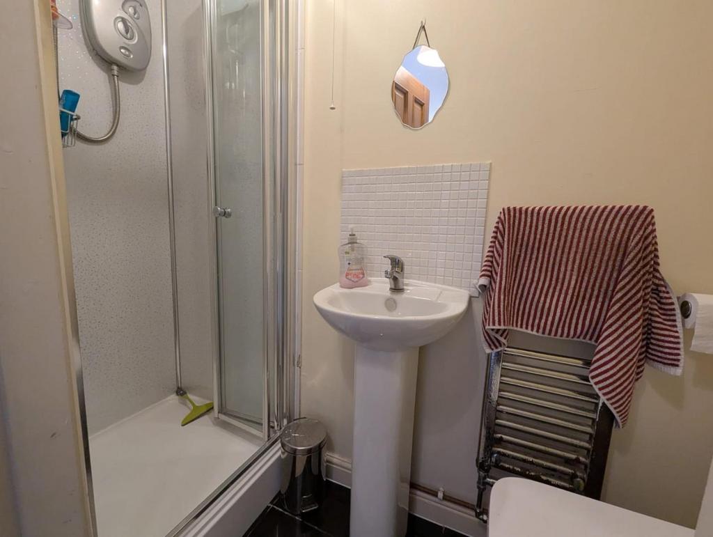 Downstairs Shower Room