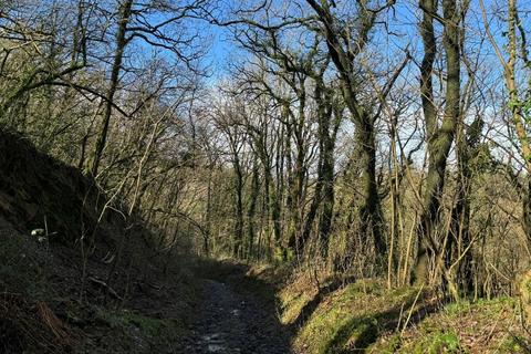 Woodland for sale, Dderwen Groes, Llanpumsaint SA33