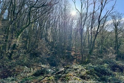 Woodland for sale, Dderwen Groes, Llanpumsaint SA33
