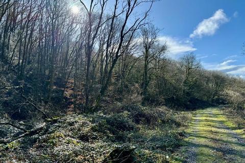 Woodland for sale, Dderwen Groes, Llanpumsaint SA33