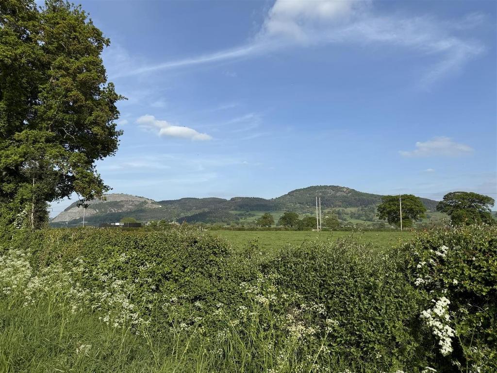 Views and Local Area