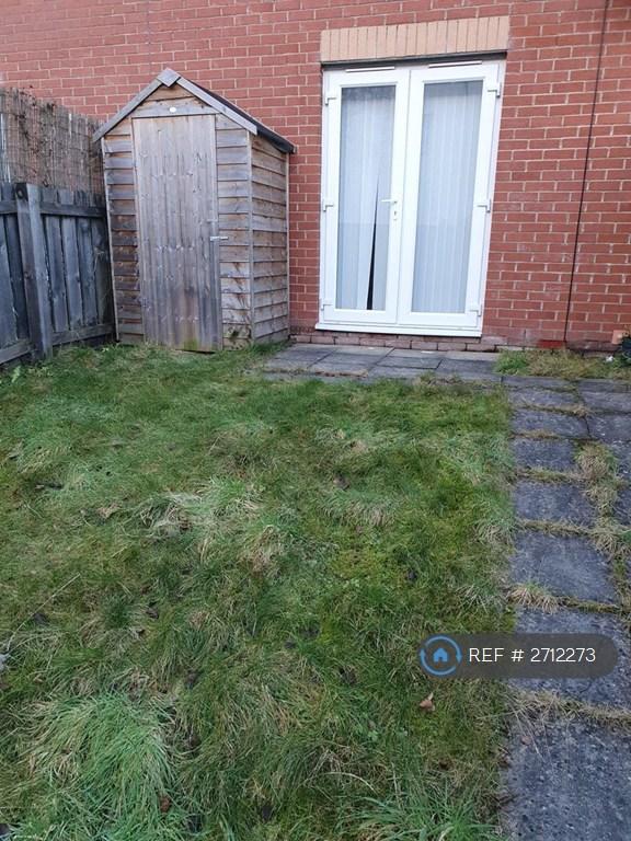 Back Garden