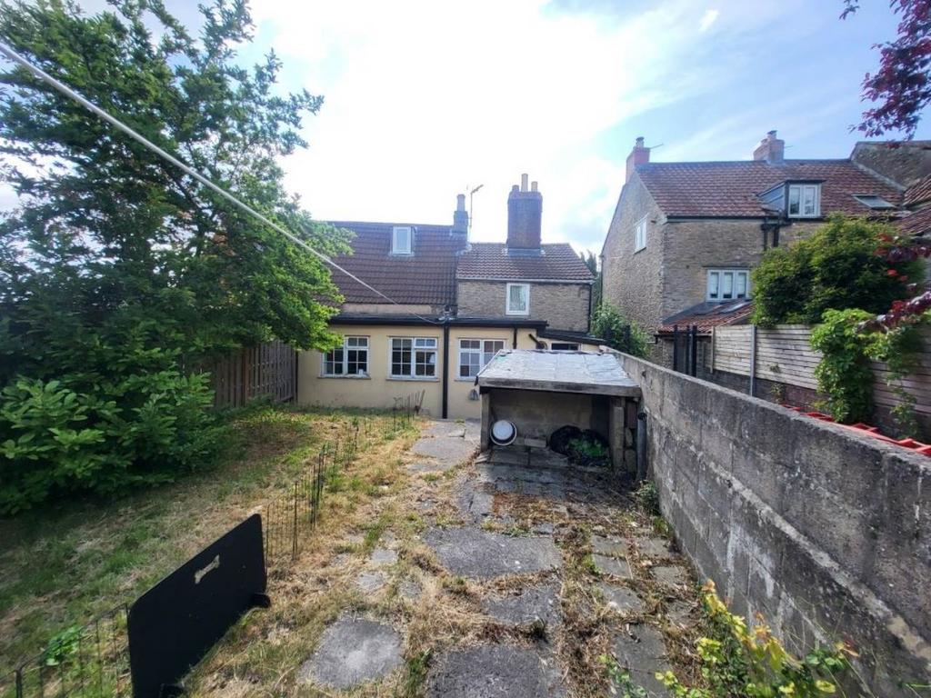 Back garden
