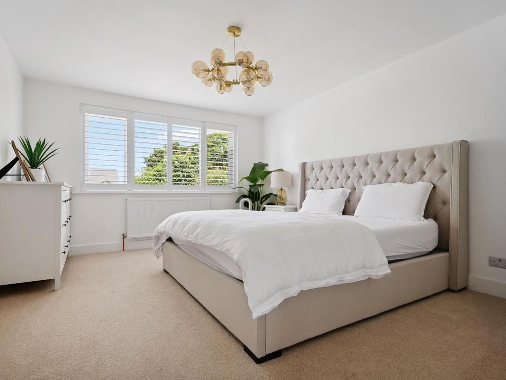 Jpeg-optimizer P1448468.jpg