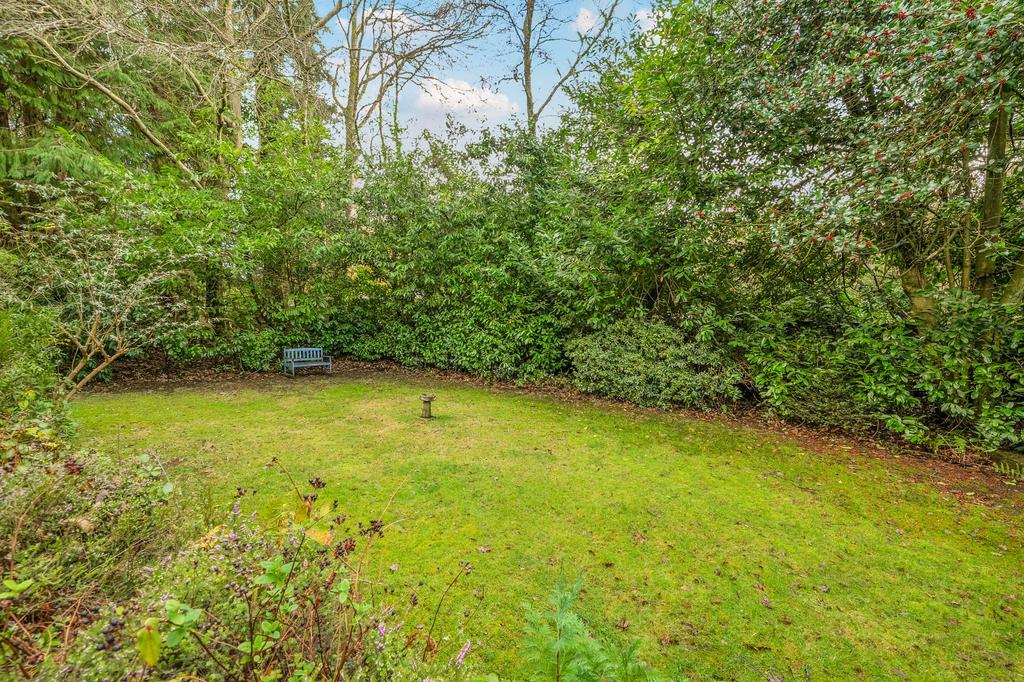 Back Garden