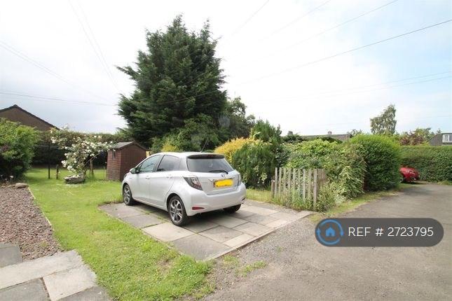 Garden And Car Park