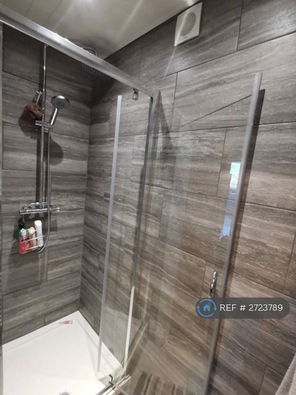 Downstairs Shower