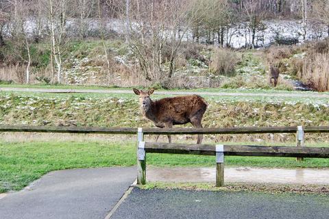 3 bedroom detached house for sale, Oakley Road, Burntwood WS7
