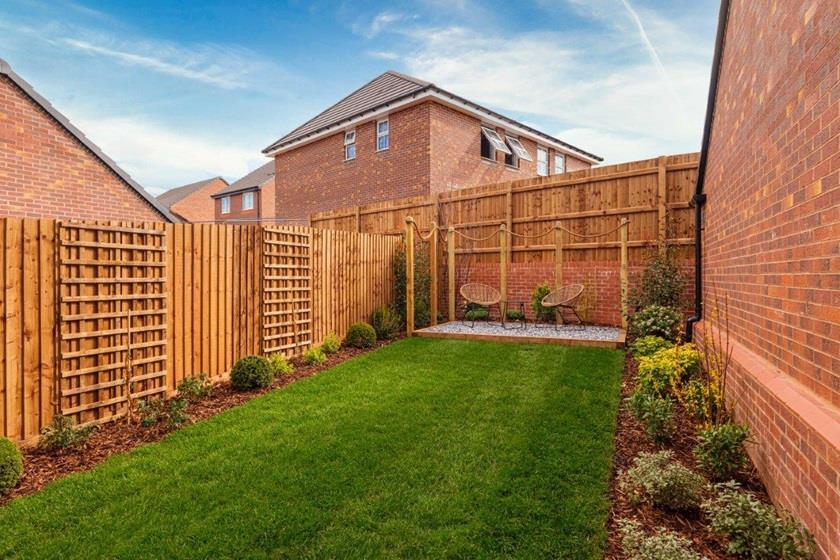 060 the-lapwings.jpg