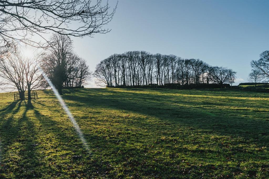 Parkland