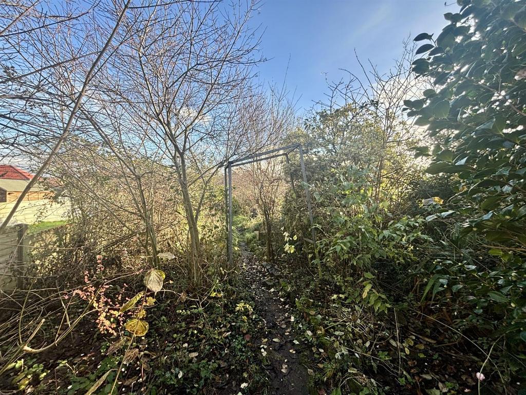 Thumbnail IMG 9731.jpg