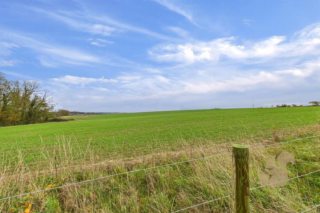 Field Views