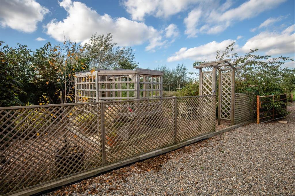 Garden 4