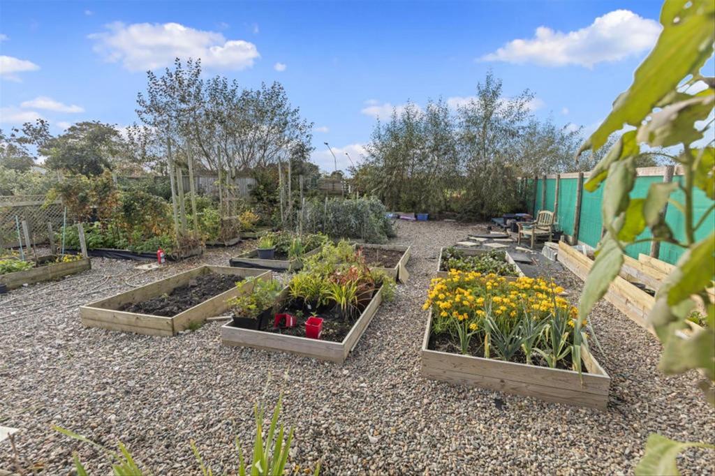 Garden 5