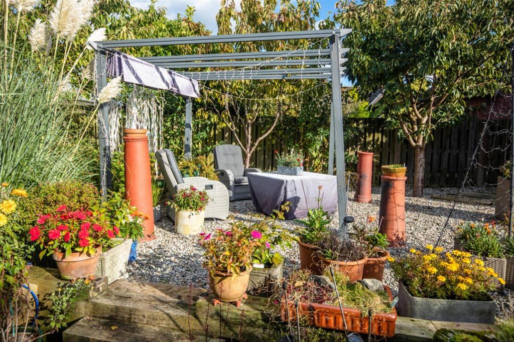 Garden 1