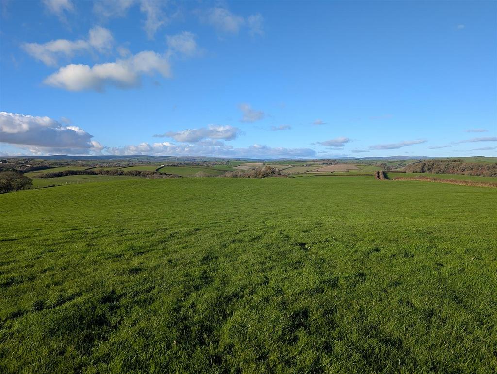 Lot 1