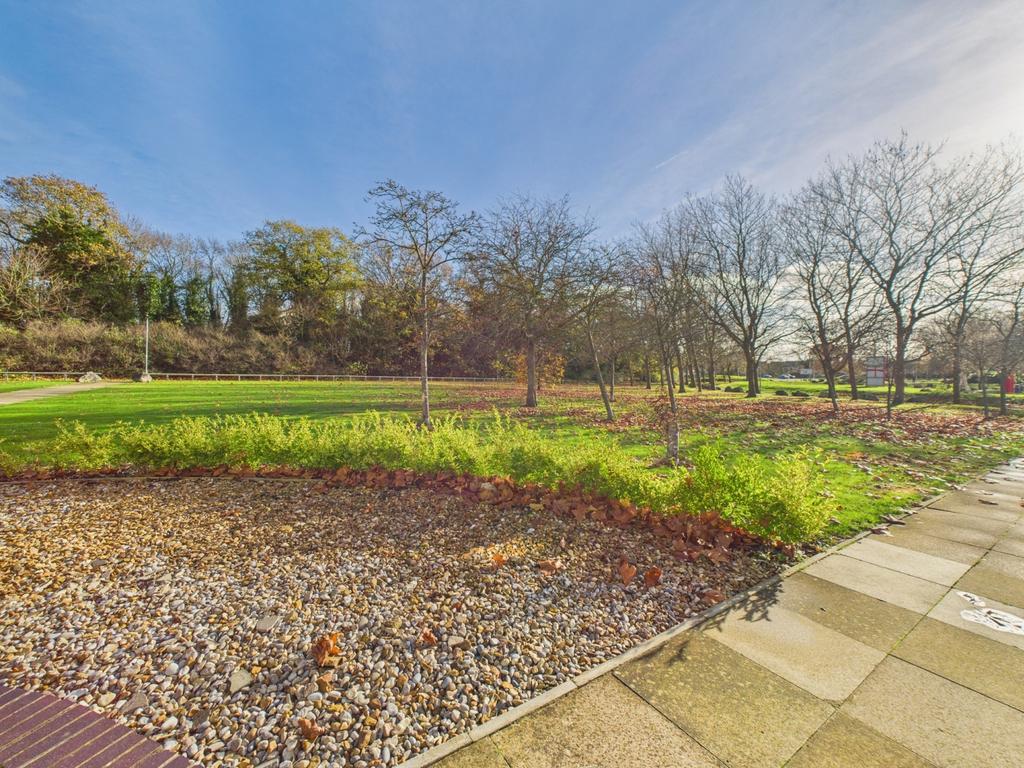 Cam01909 g0 pr0420 still005