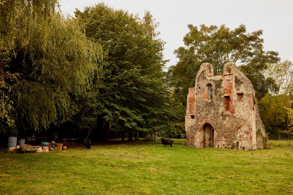314583   inigo mettingham castle 111.jpg