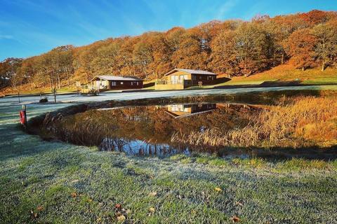undefined, Llanidloes Powys