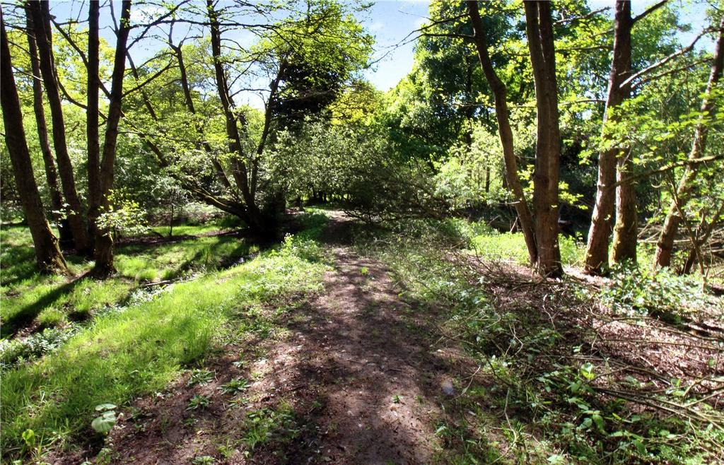 Woodland