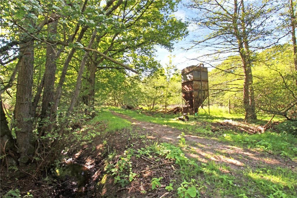 Woodland