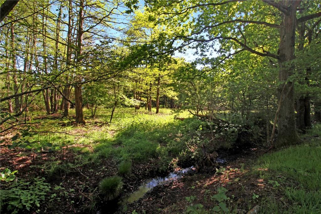 Woodland