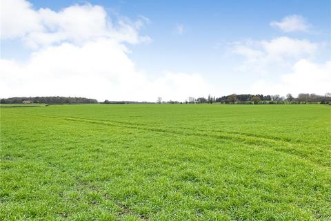undefined, Wighill Park, North Yorkshire LS24