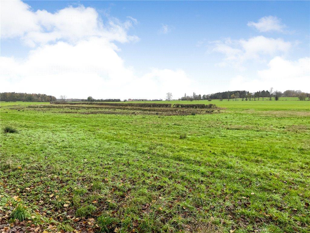 View NW Grass