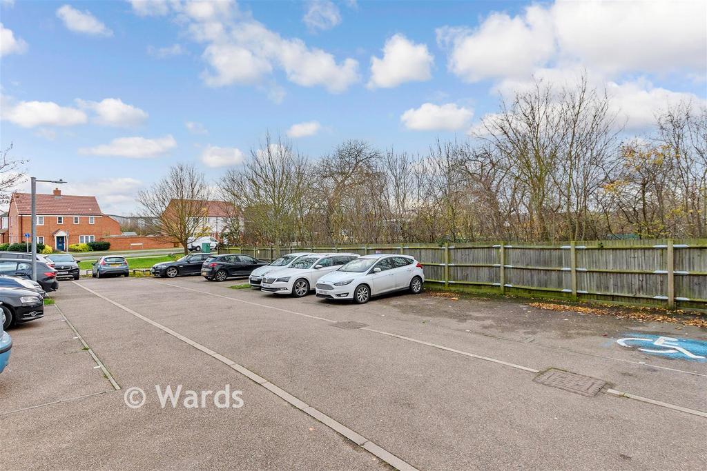 Driveway/Parking