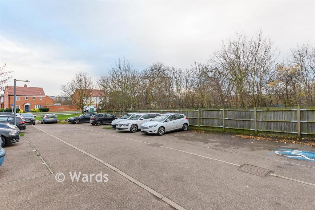 Driveway/Parking