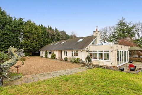 undefined, Marden Park, Caterham