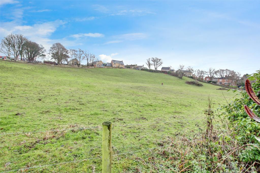 View From Garden