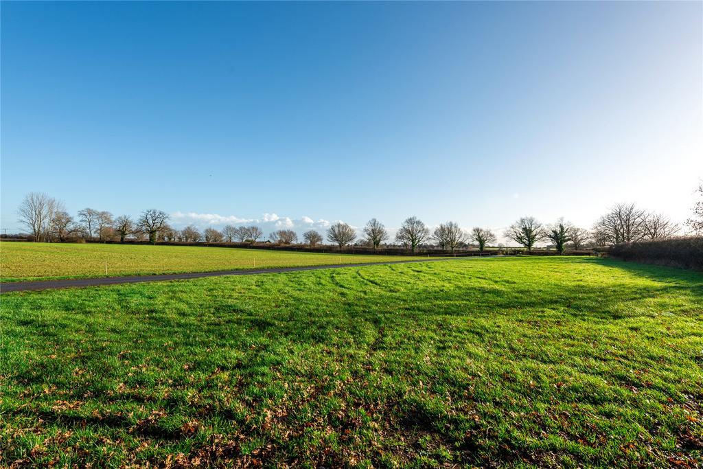 Field