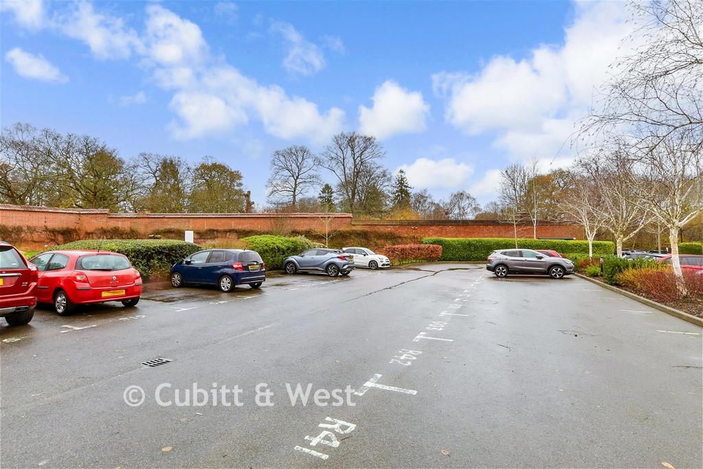 Driveway/Parking