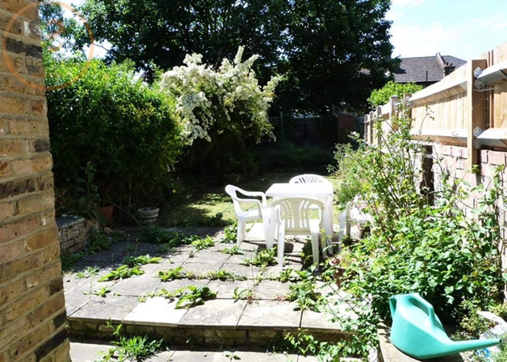 20240410194632239 original.jpeg