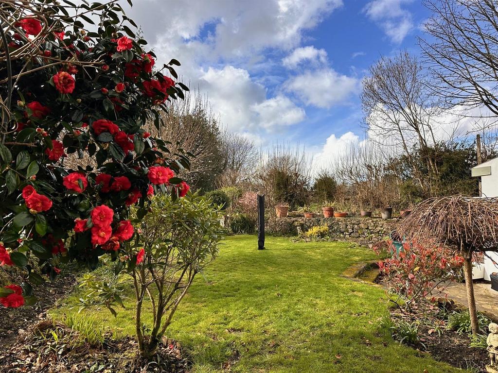 Vs garden 2.jpg