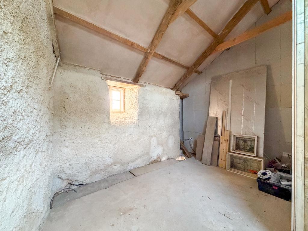 IMG 1951 T202512101735.jpg