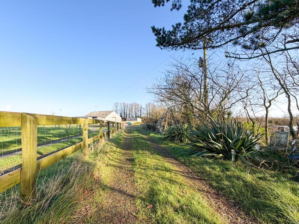 IMG 1920 T202512101740.jpg