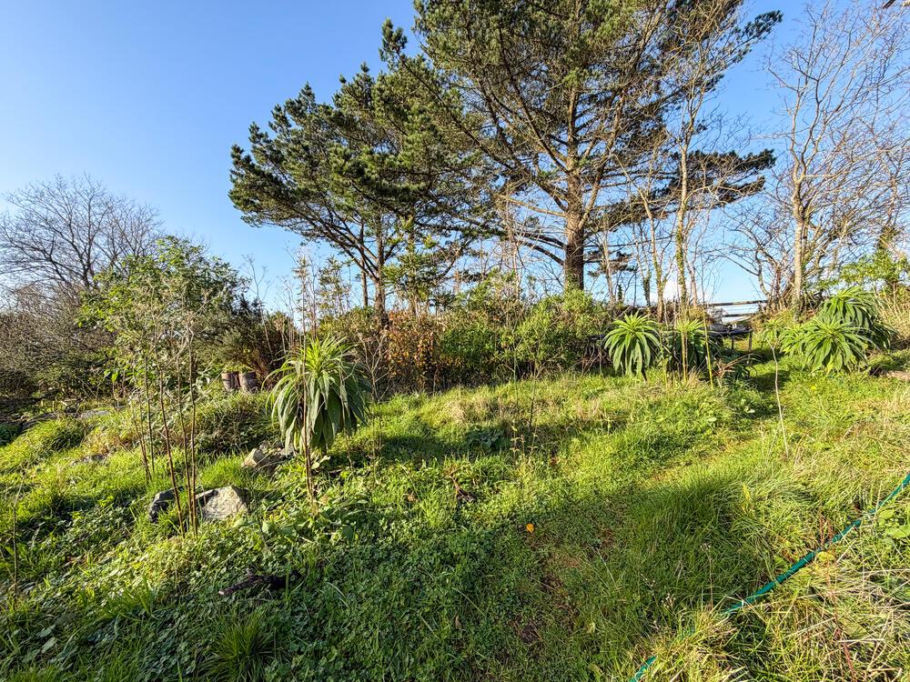 IMG 1922 T202512101741.jpg