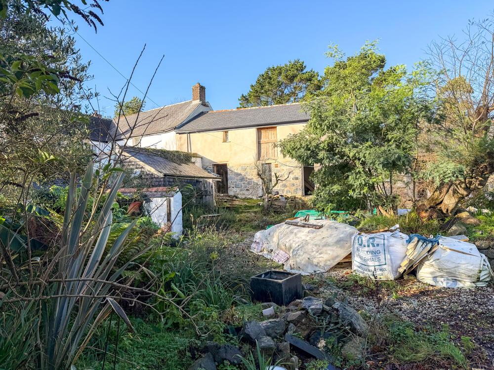 IMG 1927 T202512101743.jpg