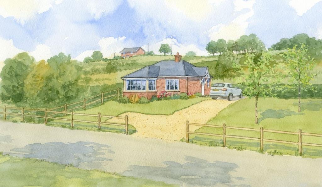 Image 4 T202512121332.jpg