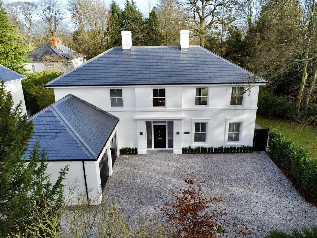 Dji fly 20251210 115358 876 1765438548164 photo op