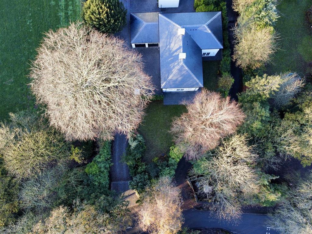 Dji fly 20251203 144208 847 1764773033692 photo op