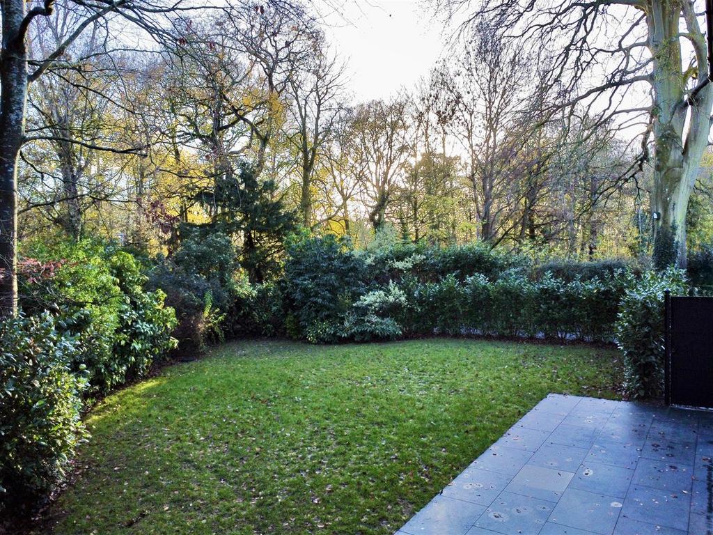 Dji fly 20251203 143514 841 1764773059889 photo op