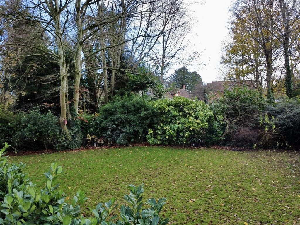 Dji fly 20251210 115500 879 1765438537754 photo op