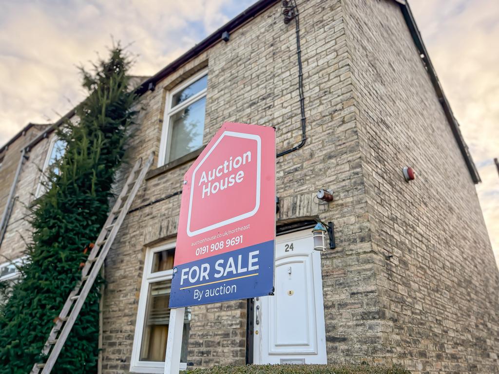 IMG 8373 T202512101822.jpg