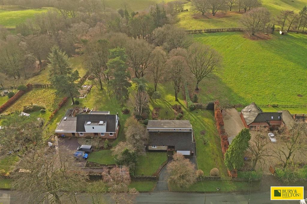 DJI 0185.jpg